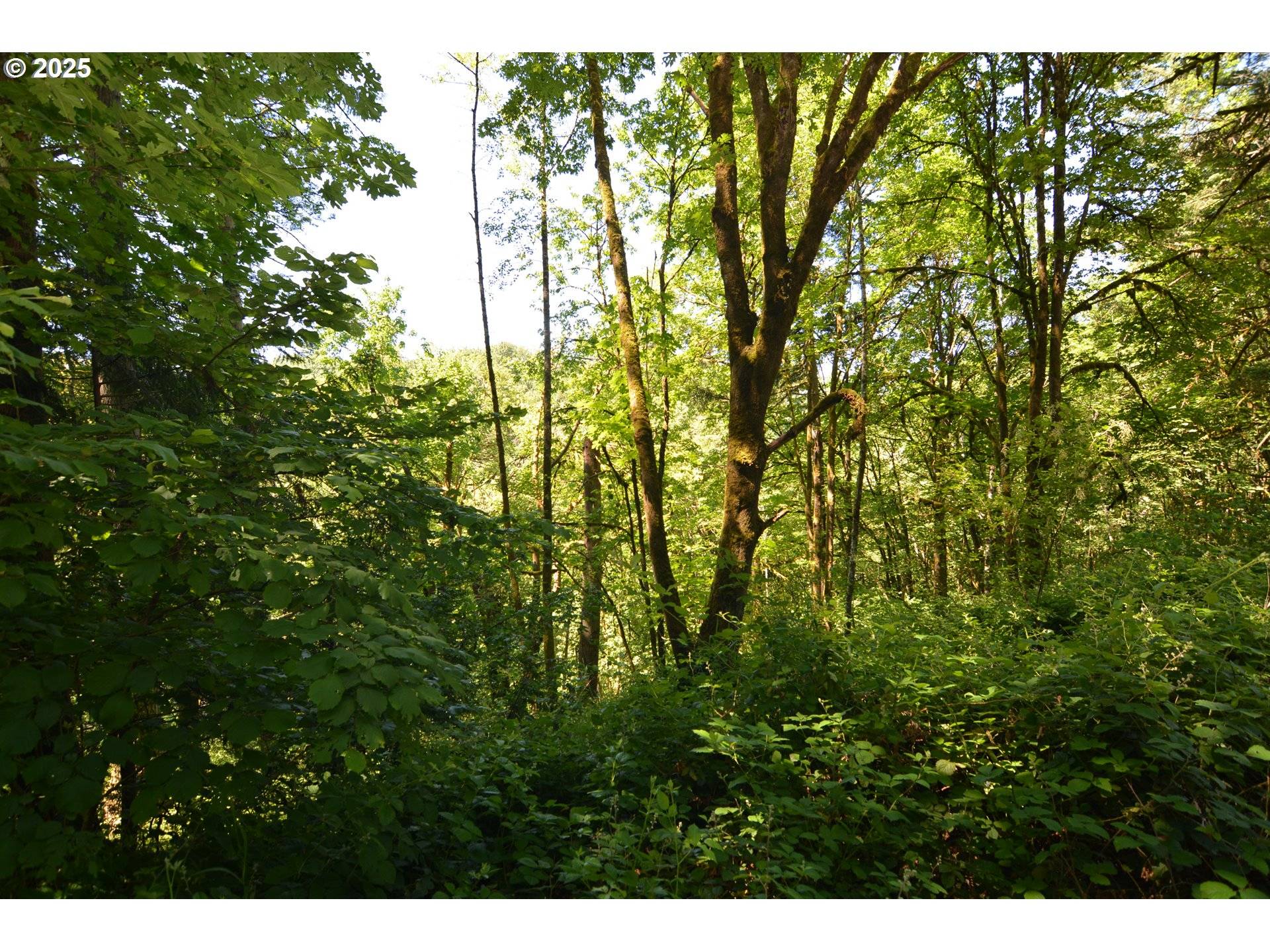 2429 Archwood DR, Longview, WA 98632