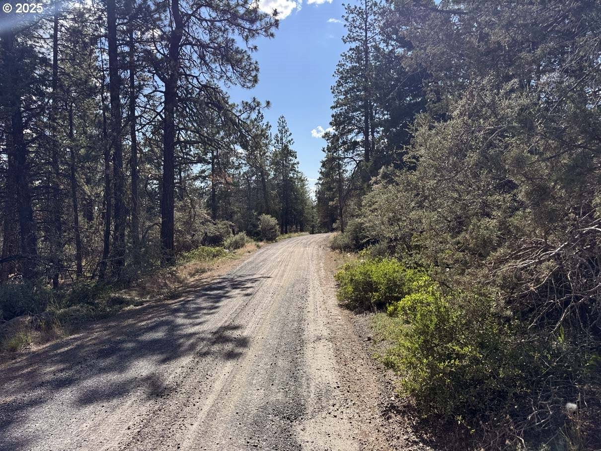 Bonanza, OR 97623,Thunder Bear Road #46