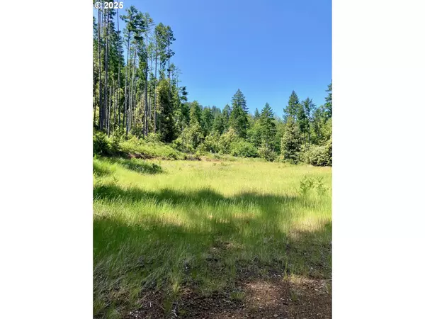 Obrien, OR 97534,REDWOOD HWY