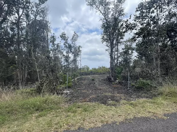 Ocean View, HI 96737,92-9085 LOTUS BLOSSOM LN