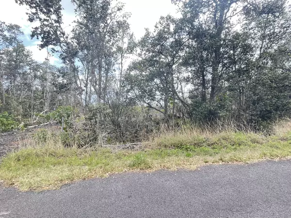 Ocean View, HI 96737,92-9085 LOTUS BLOSSOM LN