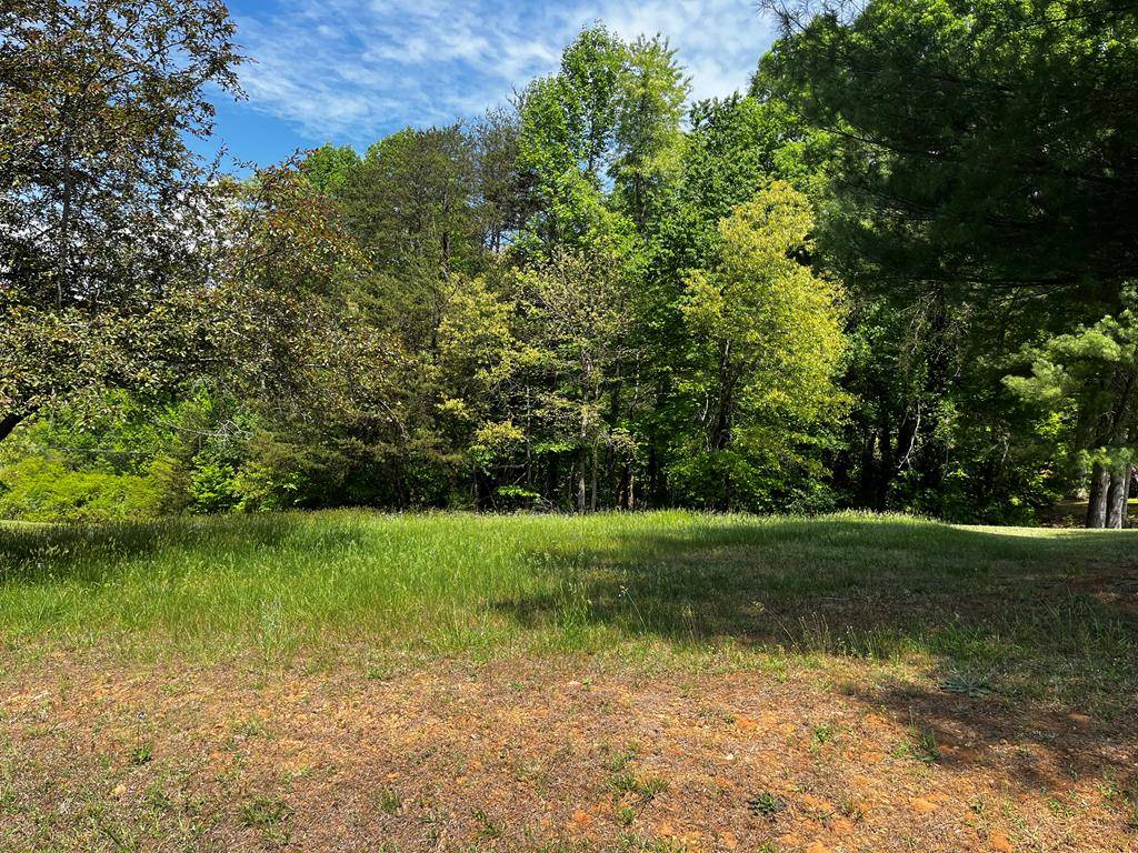 Cana, VA 24317,000000 Virgilina Circle