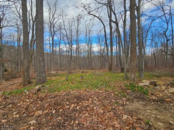 34 Starlight Dr, Morris Twp., NJ 07960