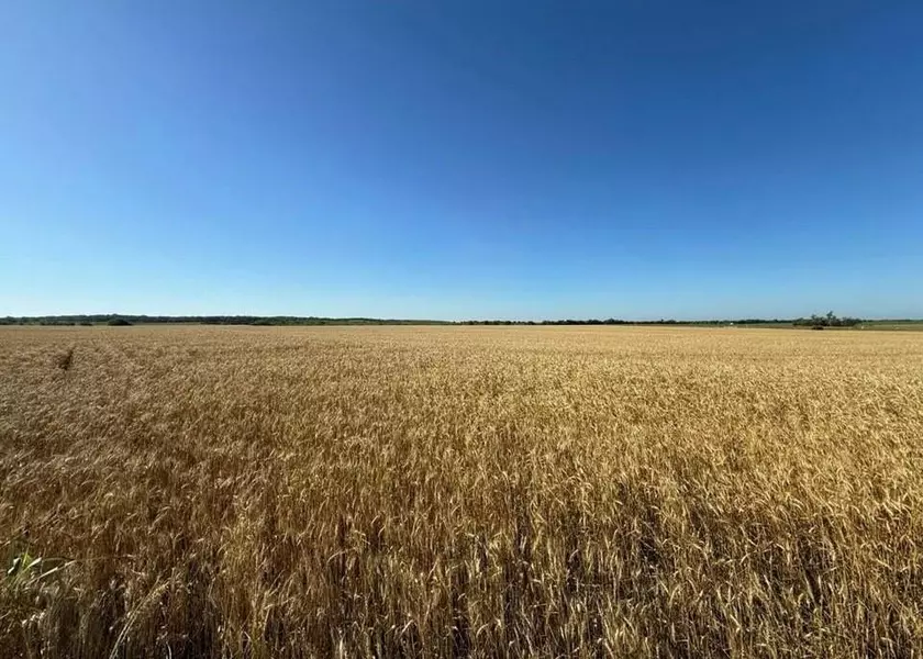 TBD HCR 1153, Blum, TX 76627