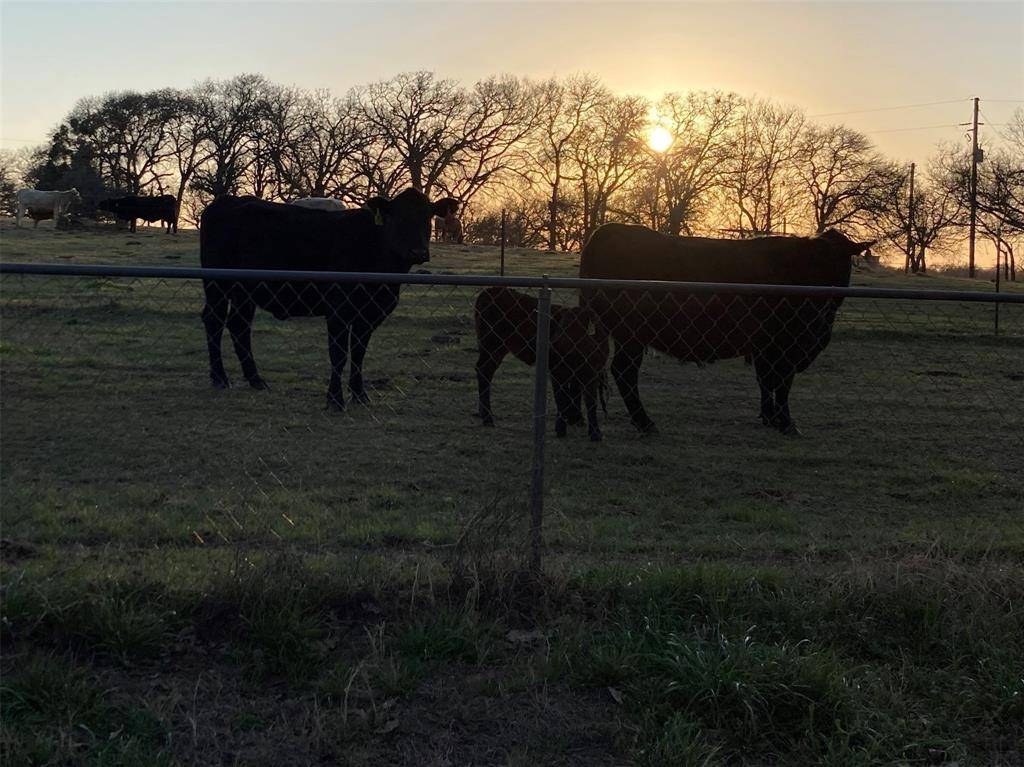 Covington, TX 76636,TBD PR 114