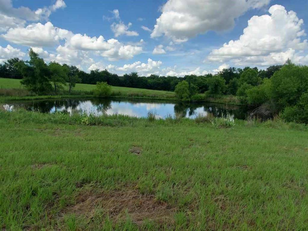 Emory, TX 75440,Lot 1 Rains CR1140 Road