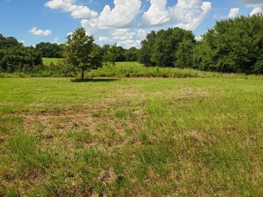 Emory, TX 75440,Lot 2 Rains CR1140 Road