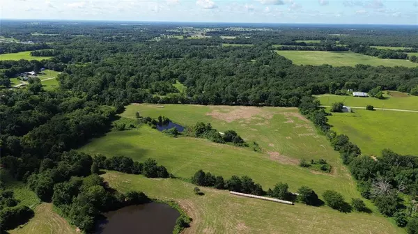 Emory, TX 75440,Lot 3 Rains CR1140 Road