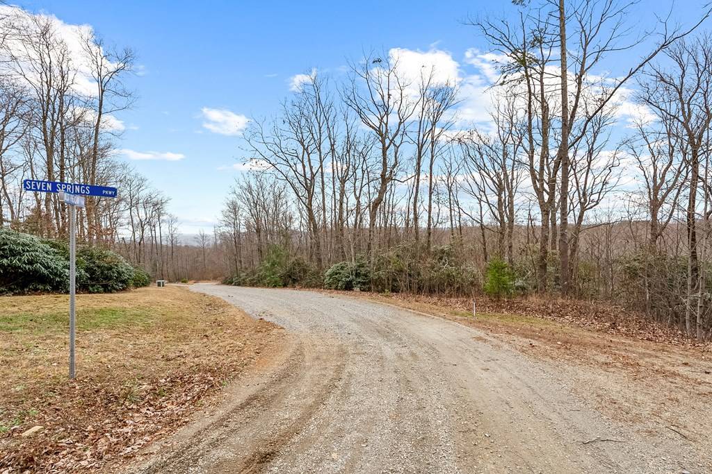 Ararat, VA 24053,Lot 23 W Pheasant Chase