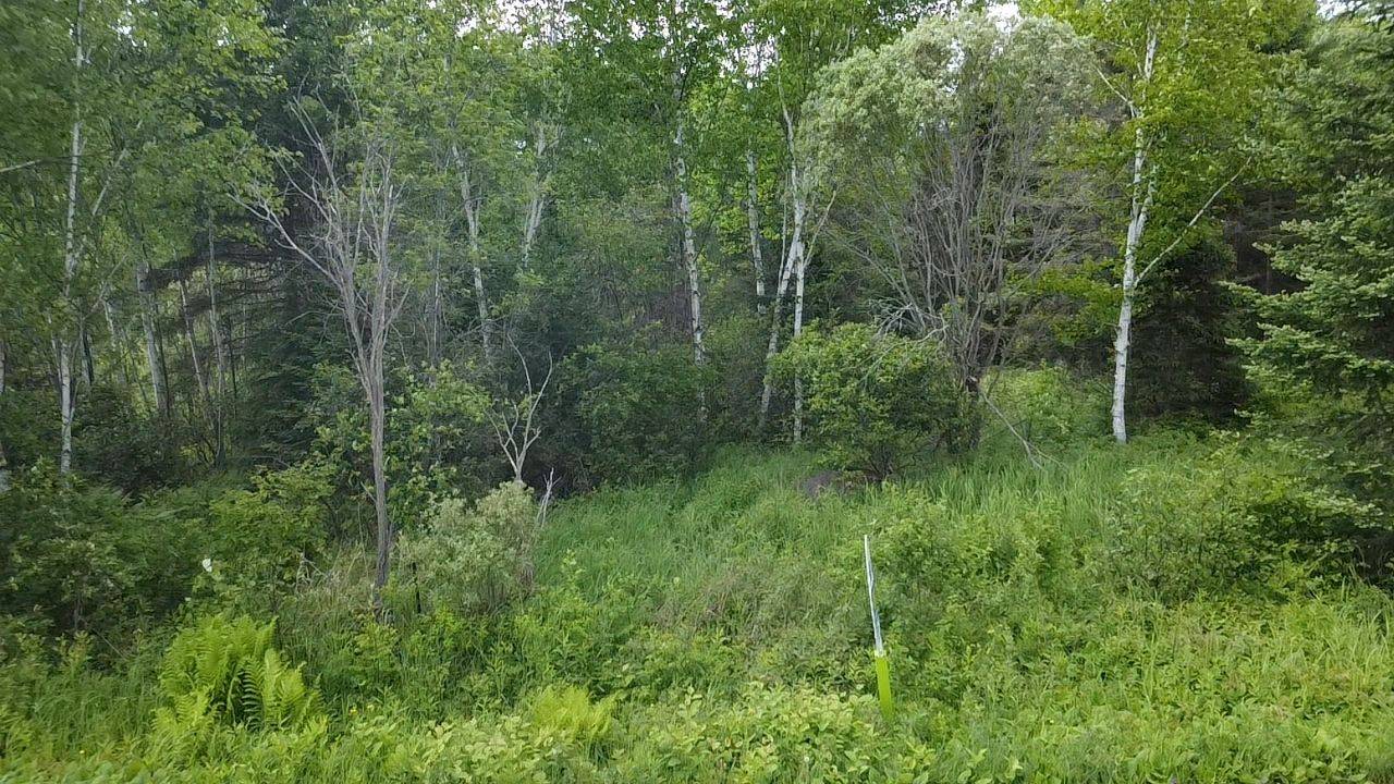 East Ferris, ON P0H 1K0,Lot 9 Part 1 Johnson RD