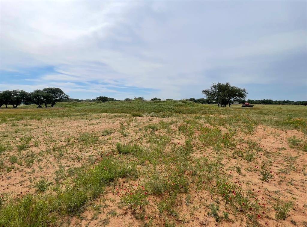 Brownwood, TX 76801,12200 Rosemary Lane