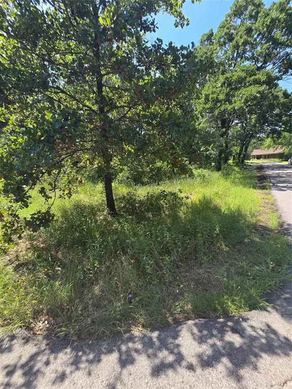 Payne Springs, TX 75156,0 Nina Street