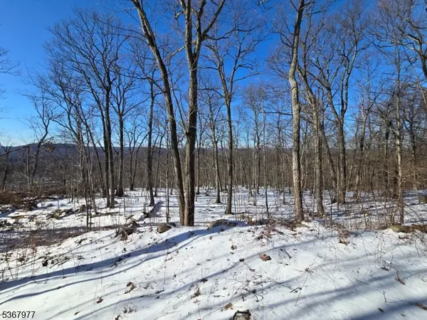 Ringwood Boro, NJ 07456,79 Coventry Way