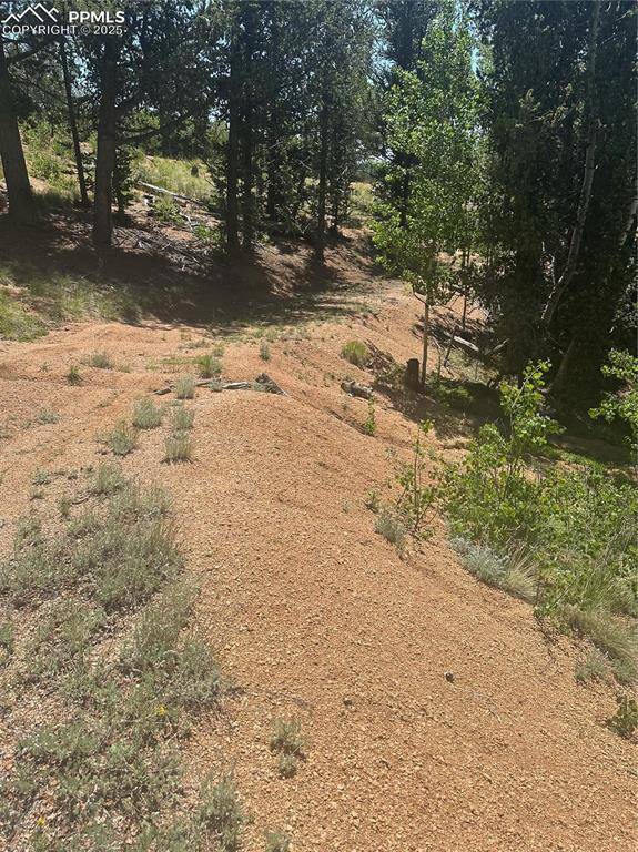 Cripple Creek, CO 80813,110 Brown Bear LN