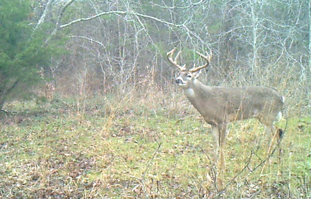 3324 County Road 3206, Dawson, TX 76639