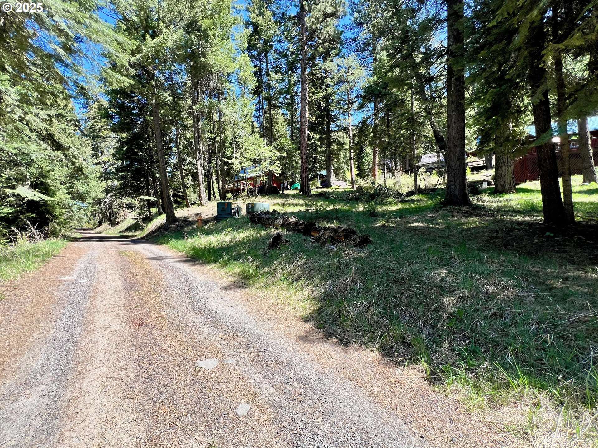 Wallowa Lake, OR 97846,Forest Dell AVE