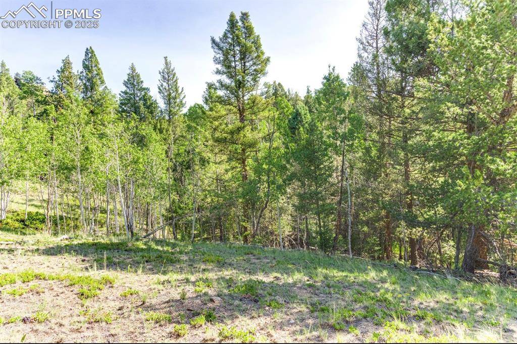 183 Cheyenne TRL, Lake George, CO 80827