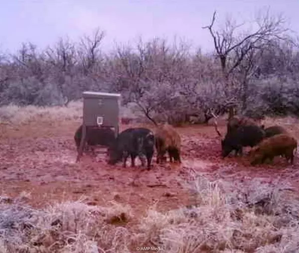 Haskell, TX 79521,T B D FM 600