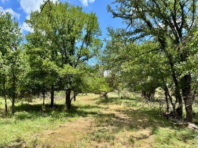 Valley Mills, TX 76689,2031 County Road 3310