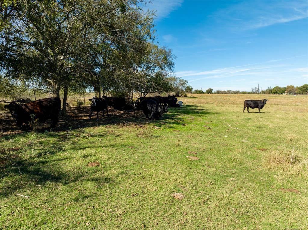 Itasca, TX 76055,Tract 1 & Tract 2 FM 934