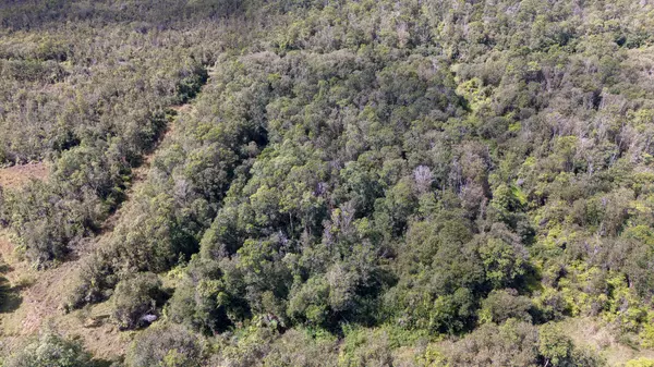 Volcano, HI 96785,GLENWOOD RD