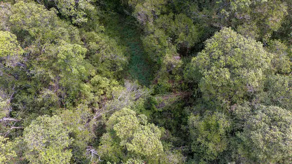 Volcano, HI 96785,GLENWOOD RD