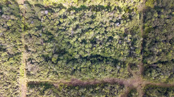 Volcano, HI 96785,GLENWOOD RD