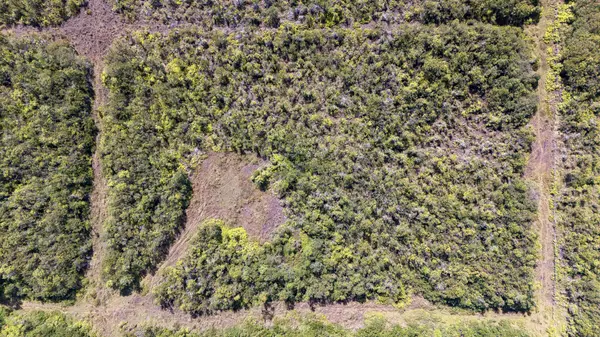 Volcano, HI 96785,GLENWOOD RD