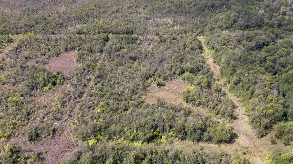 Volcano, HI 96785,GLENWOOD RD