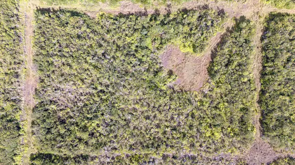 Volcano, HI 96785,GLENWOOD RD