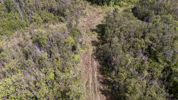 Volcano, HI 96785,GLENWOOD RD