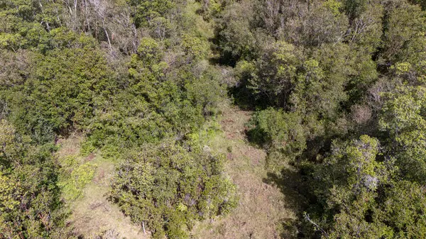 Volcano, HI 96785,GLENWOOD RD