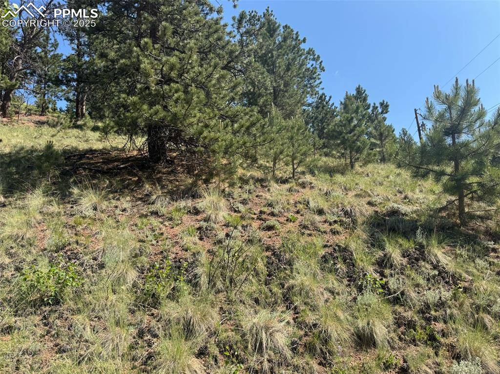 Divide, CO 80814,281 Pikes Peak DR