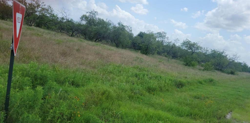 Corsicana, TX 75110,Lot 118 Palmito Rnch Road