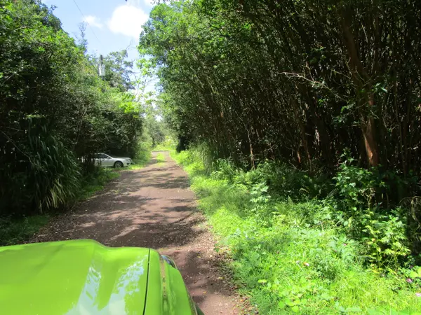 Pahoa, HI 96778,LANAI ST