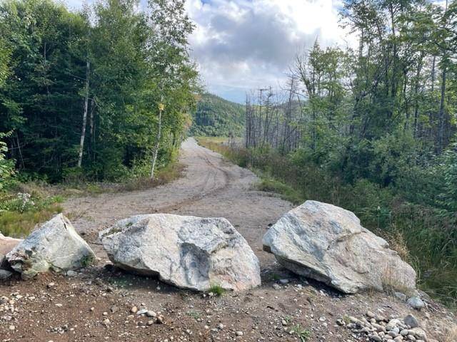 460 Route - White's Road, Gull Pond, NL A2N 2Y4