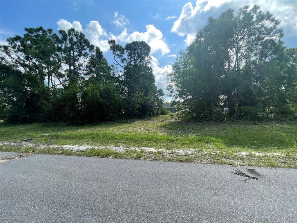 Cape Coral, FL 33993,4513 NW 34th Pl