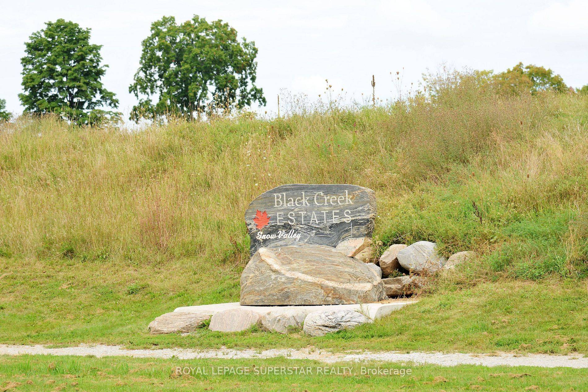 Springwater, ON L9X 0J2,9 Black Creek TRL