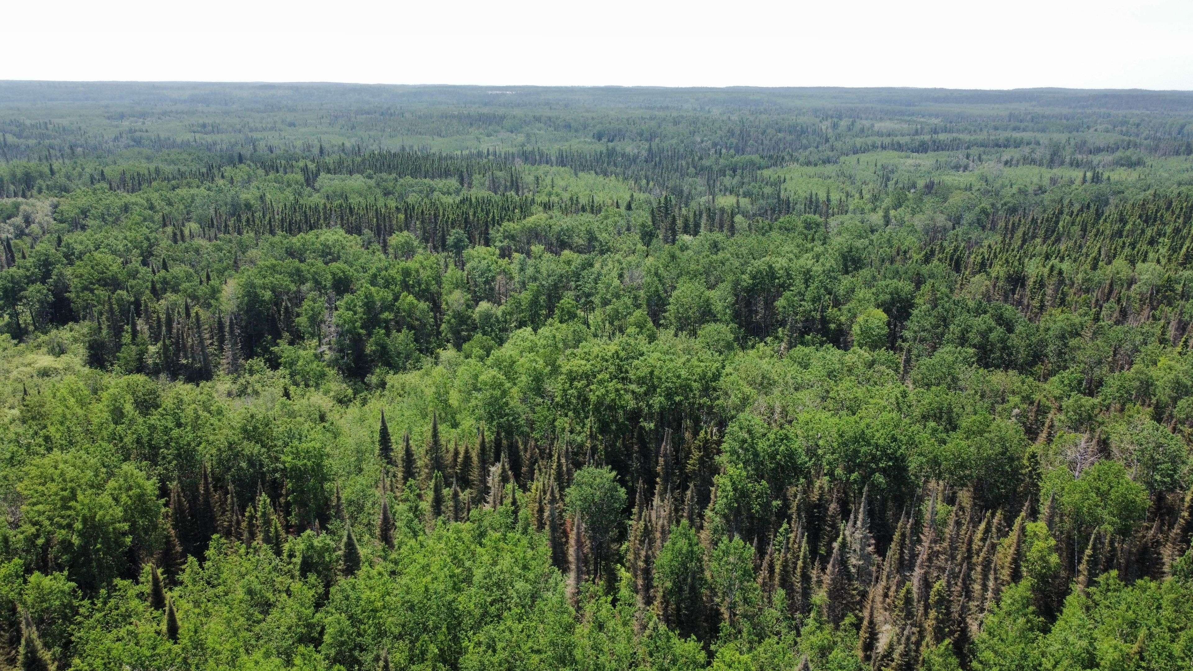 Kirkland Lake, ON P0K 1V0,PCL 12570 Brannys RD