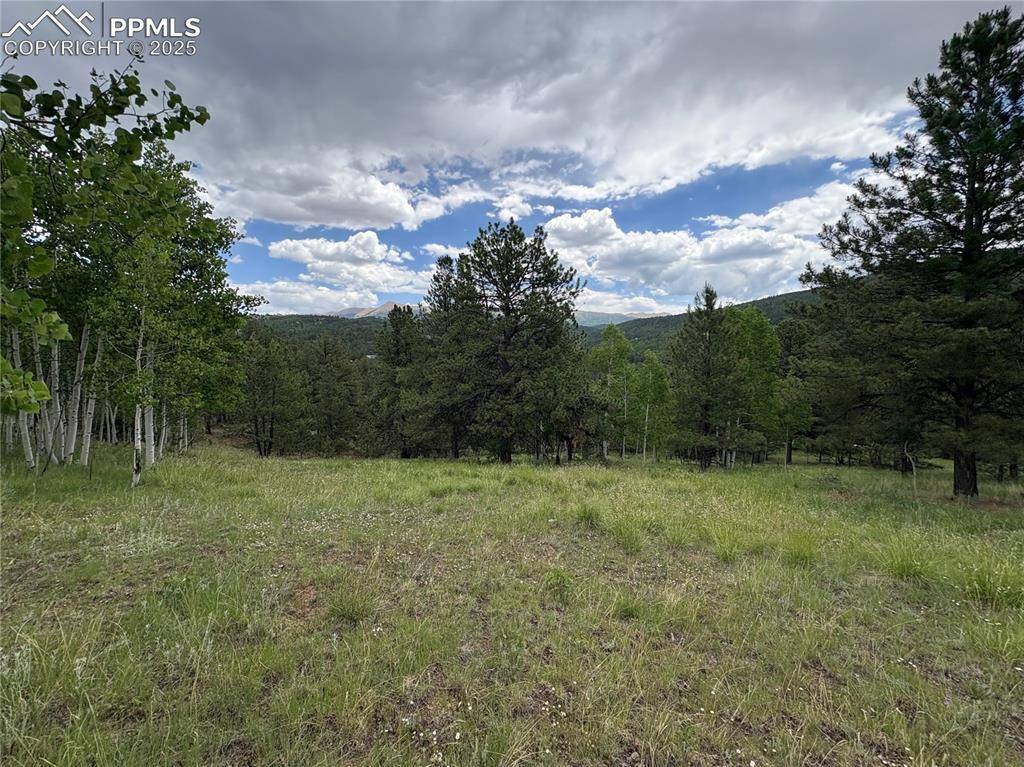 Cripple Creek, CO 80813,532 May Queen DR