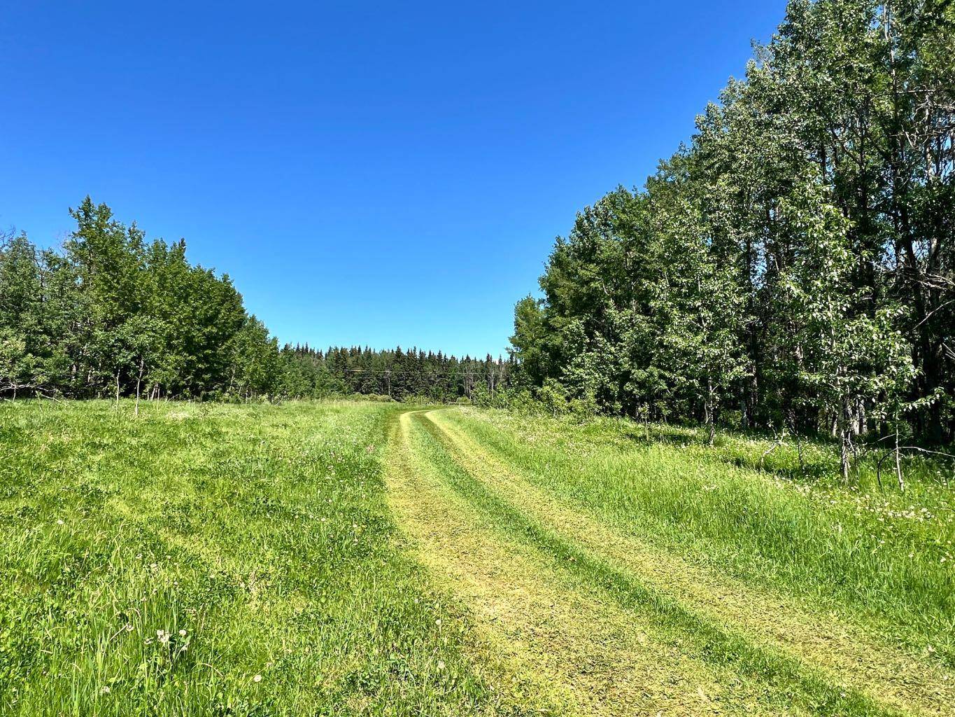 Rural Ponoka County, AB T0C 2J0,on Twp Rd 43-0