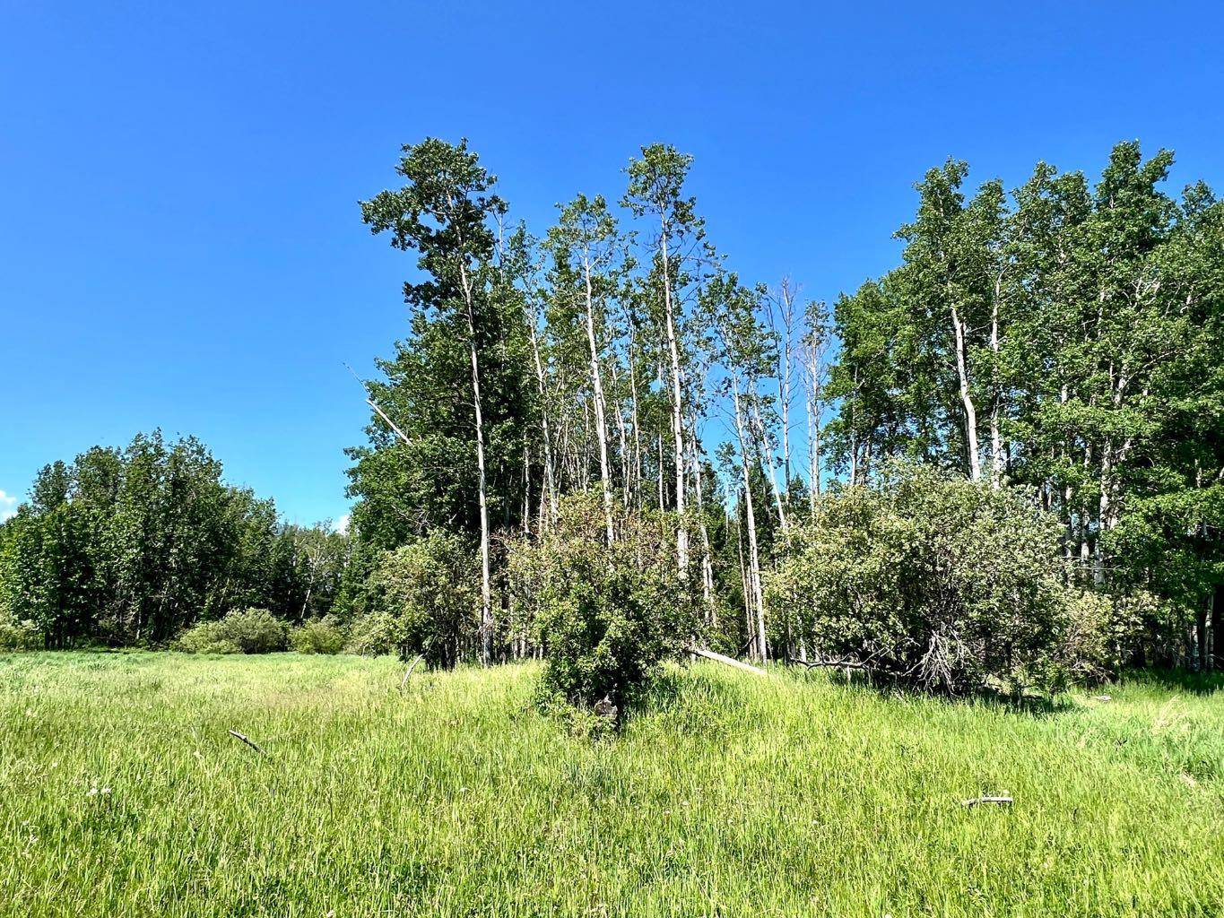 Rural Ponoka County, AB T0C 2J0,on Twp Rd 43-0