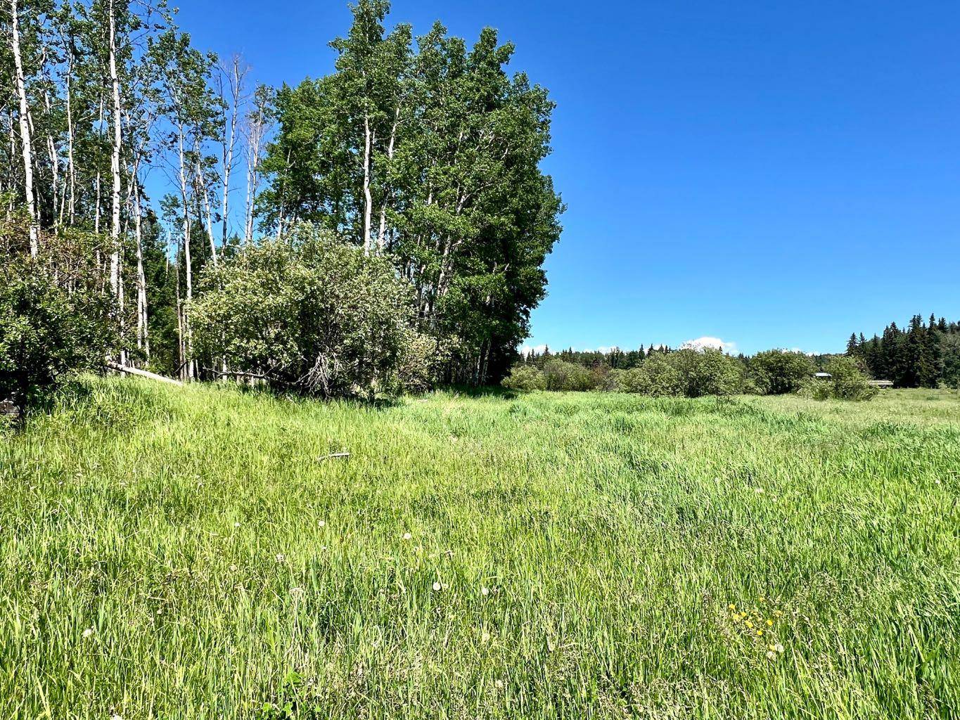 Rural Ponoka County, AB T0C 2J0,on Twp Rd 43-0