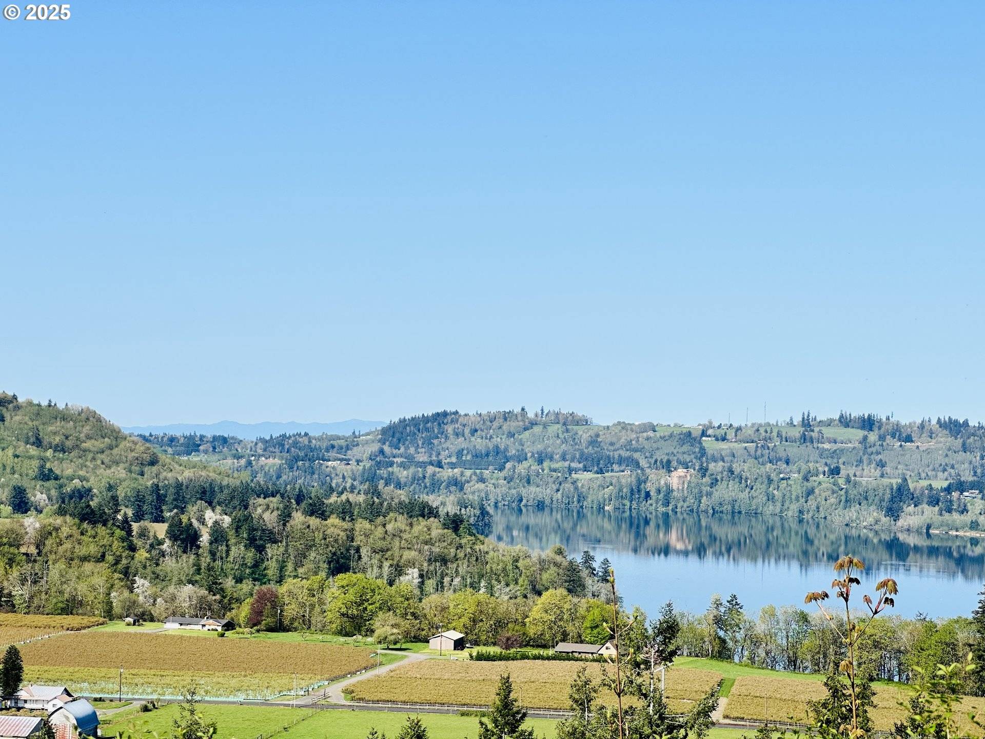 295 DEGOEDE DR, Mossyrock, WA 98564