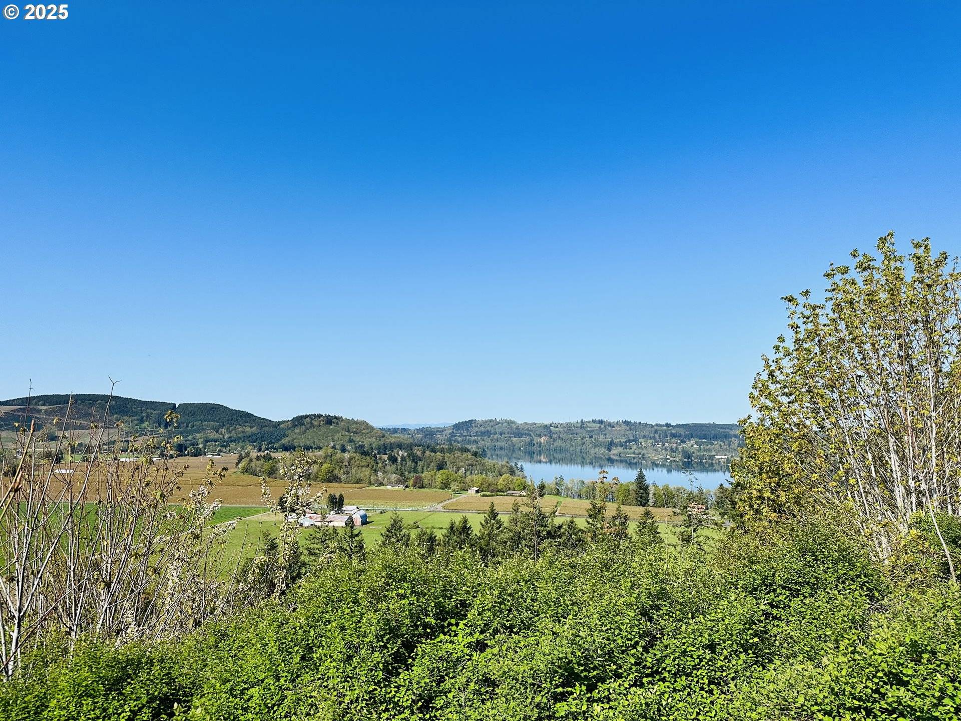 Mossyrock, WA 98564,295 DEGOEDE DR