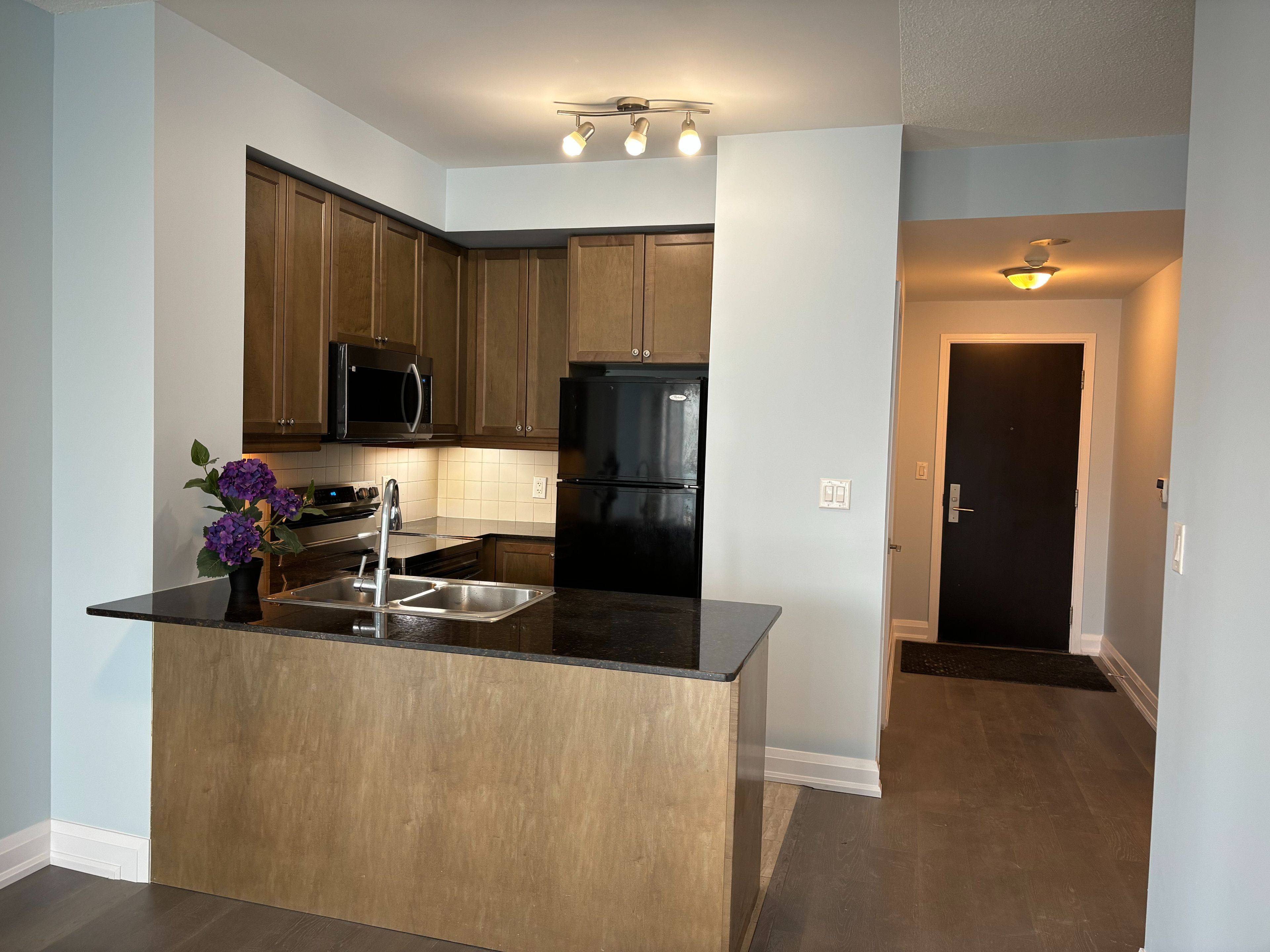 Mississauga, ON L4Z 0A9,60 Absolute AVE #1103