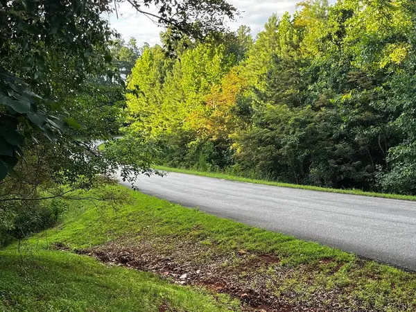 Lynch Station, VA 24571,0 Bay View Rd #Lot 332