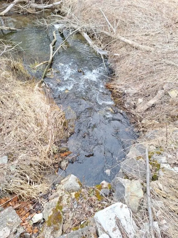 Essa, ON L0M 1T0,7845 County RD #56
