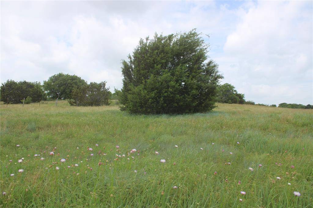 Cleburne, TX 76033,7452 Saint Augustine Drive