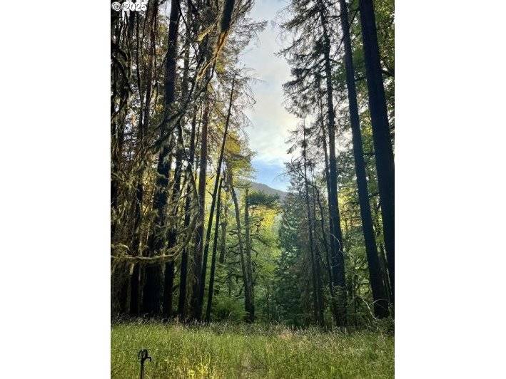 25993 E HENRY CREEK RD, Rhododendron, OR 97049